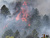 Fire raton_tiny